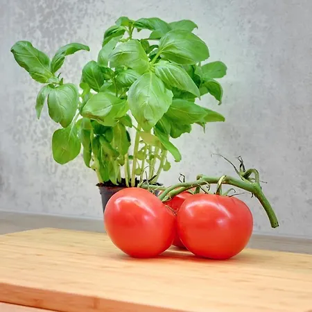 - Free Private Parking Appartamento