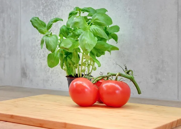 - Free Private Parking 아파트